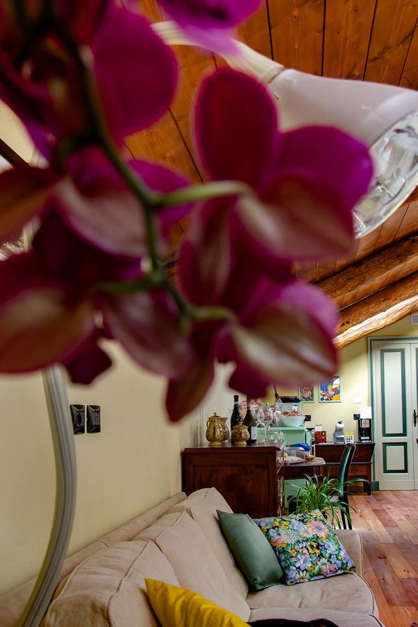 Ca D'I. Bed & Breakfast Magliano Alfieri Bagian luar foto