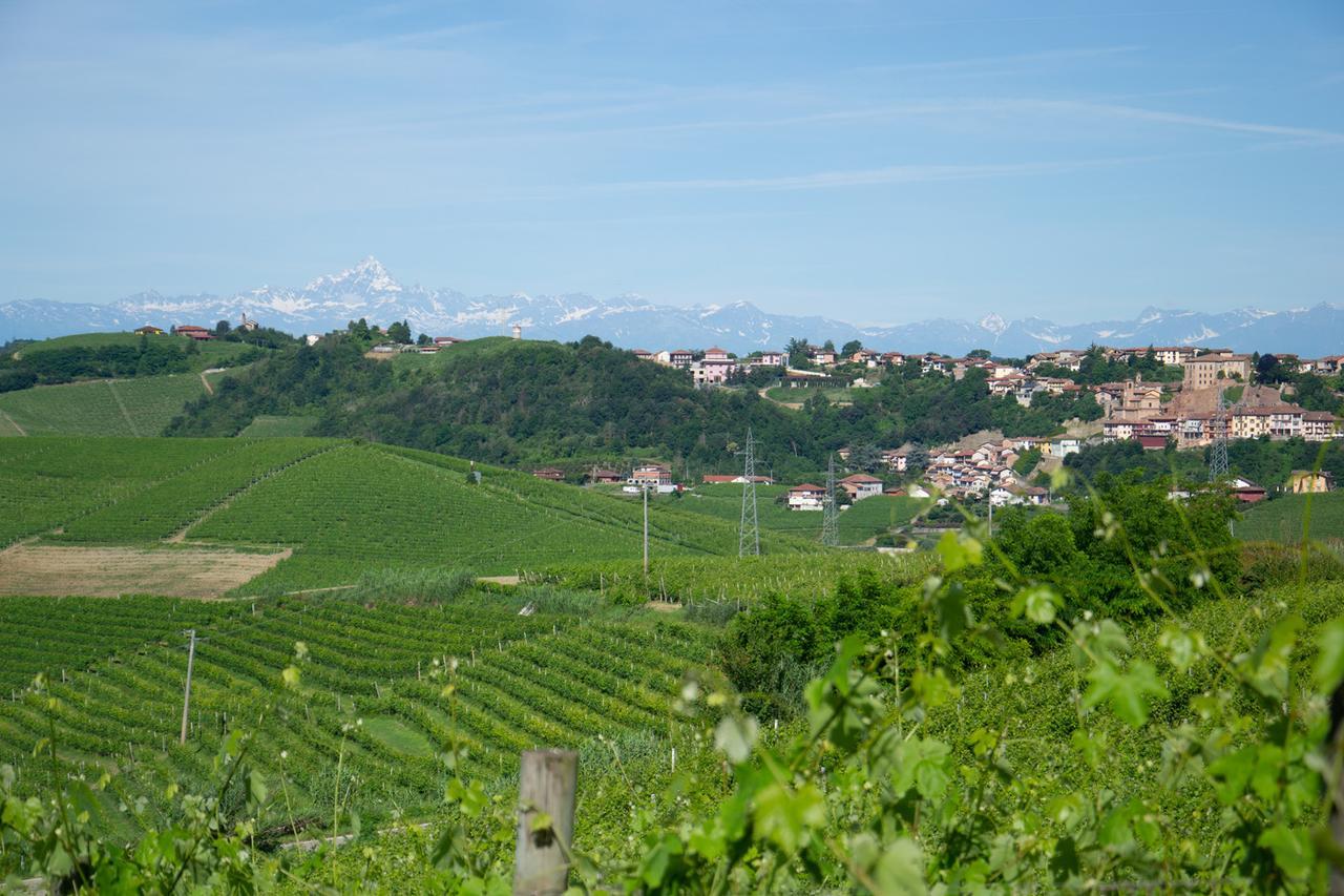 Ca D'I. Bed & Breakfast Magliano Alfieri Bagian luar foto